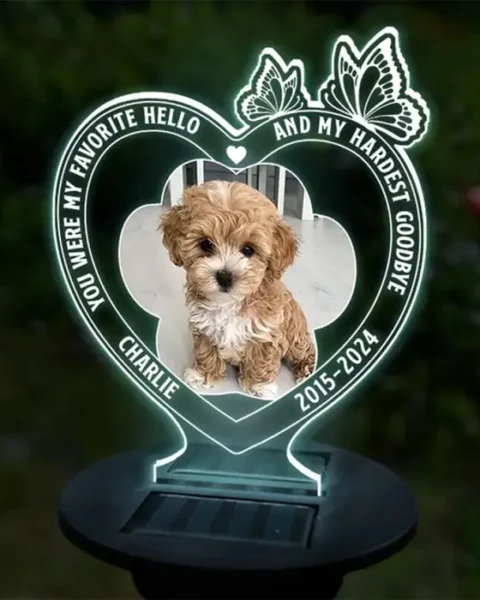 Made-to-Order Photo Run Free, Sweet Friend | Sympathy Gift For Pet Owners, Pet Lovers