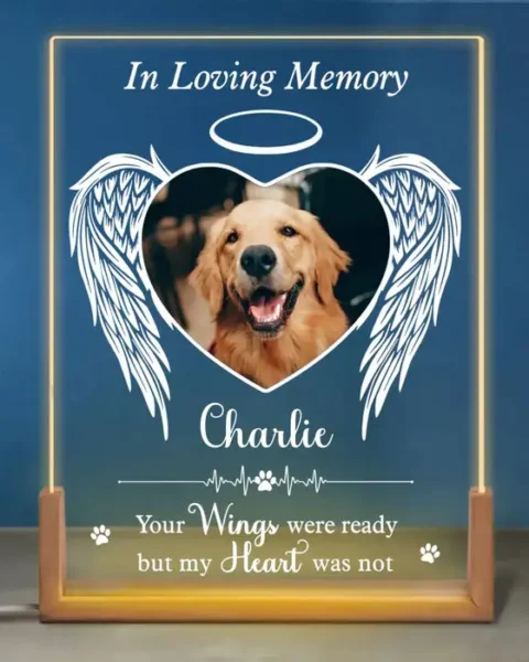 Tailored Photo Shine In My Heart ~ Sympathy Gift For Pet Owners, Pet Lovers