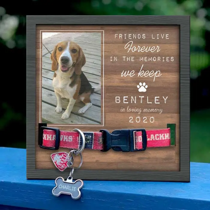 Made-to-Order Friends Live Forever In The Memories We Keep - Memorial Personalized Custom Pet Loss Sign, Collar Frame