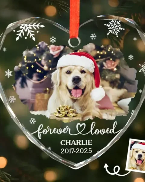 Tailored Photo Heart Glass Ornament | Forever In My Heart Pawprints