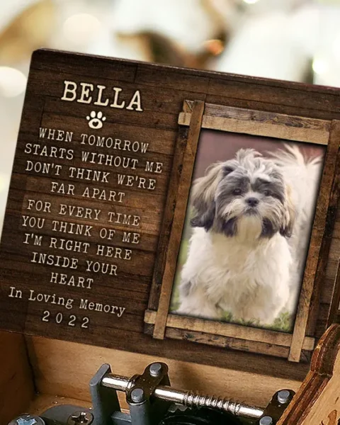 Tailored I'm Right Here Inside Your Heart | Upload Image, Gift For Pet Lovers