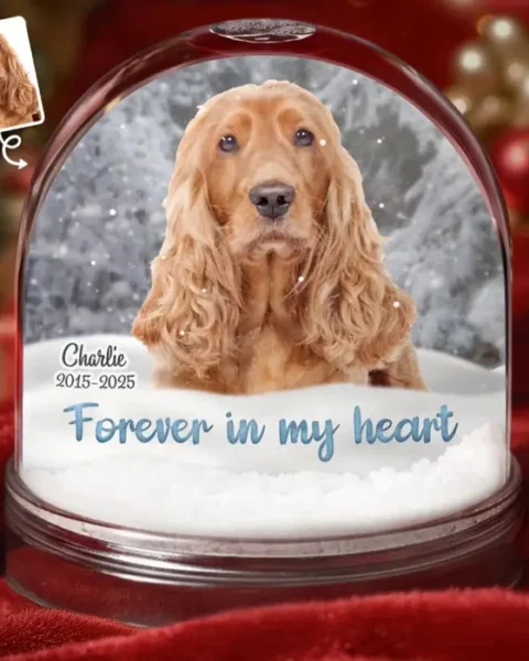 Made-to-Order Photo Acrylic Snow Globe ~ Paws And Love Never Fade