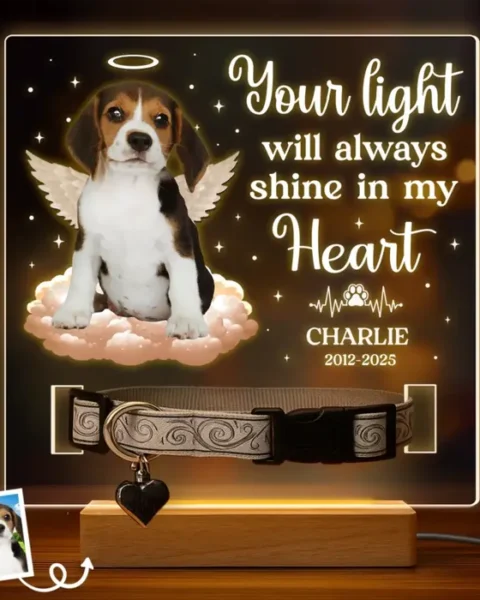 Made-to-Order Photo Forever My Angel - Sympathy Gift For Pet Owners, Pet Lovers