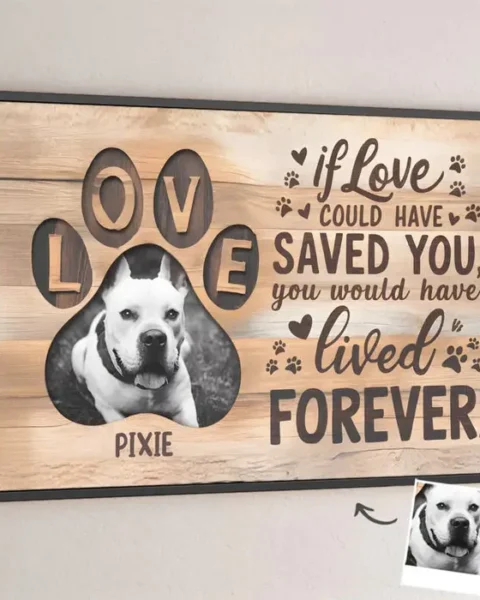 Custom-Made Photo Run Free, My Sweet Friend ~ Sympathy Gift For Pet Owners, Pet Lovers