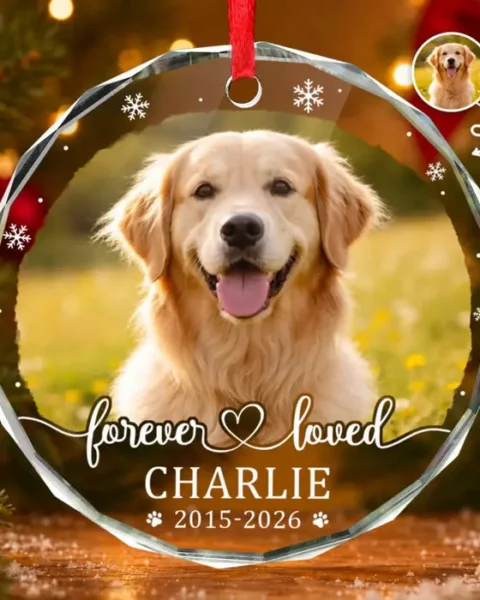 Custom-Made Photo Circle Glass Ornament - Paw Prints Stay Forever
