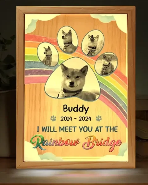 Made-to-Order Photo I Really Meet You At The Rainbow Bridge - Sympathy Gift For Pet Owners, Pet Lovers