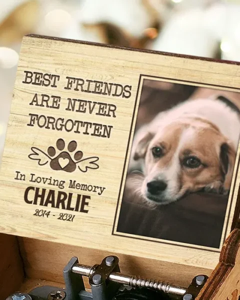 Personalized Best Friends Are Never Forgotten ~ Upload Image, Gift For Pet Lovers