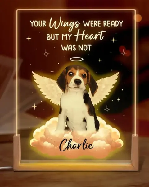 Made-to-Order Photo You Left Paw Prints On My Heart ~ Sympathy Gift For Pet Owners, Pet Lovers