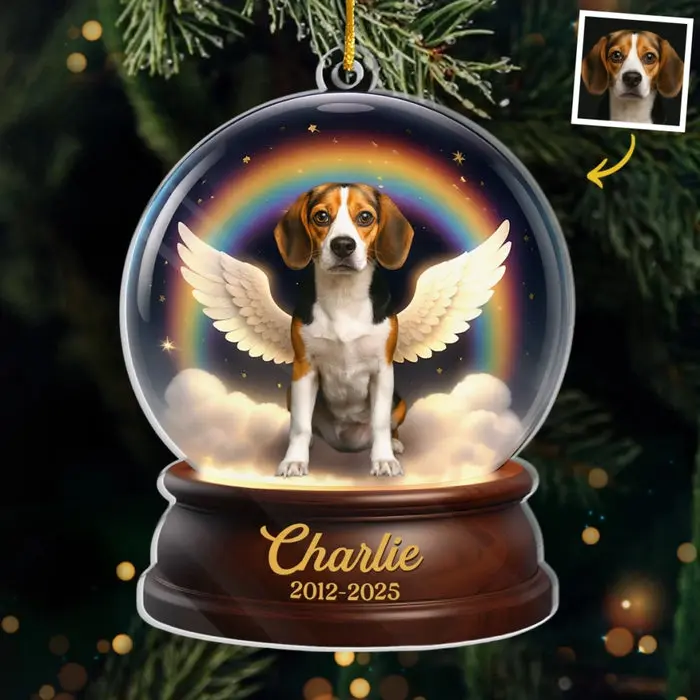 Made-to-Order Photo Acrylic Ornament - Wings Took You, Love Holds You