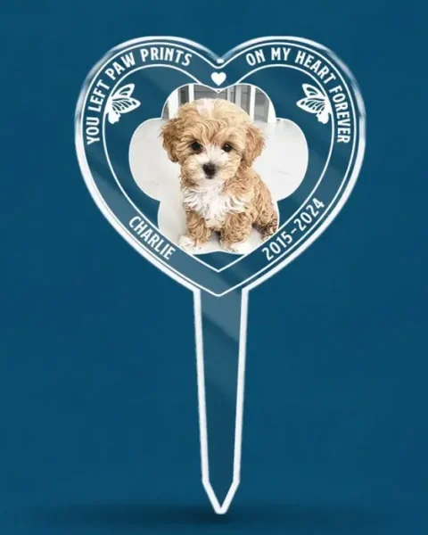 Custom-Made Photo You Are Always An Angel In My Heart ~ Sympathy Gift For Pet Owners, Pet Lovers