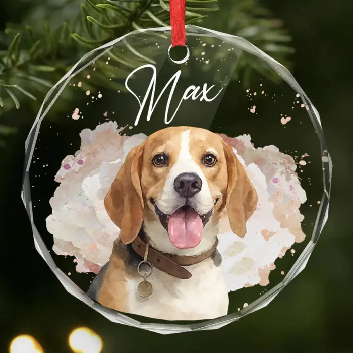 Personalized Photo Circle Glass Ornament ~ Pawprints In My Heart